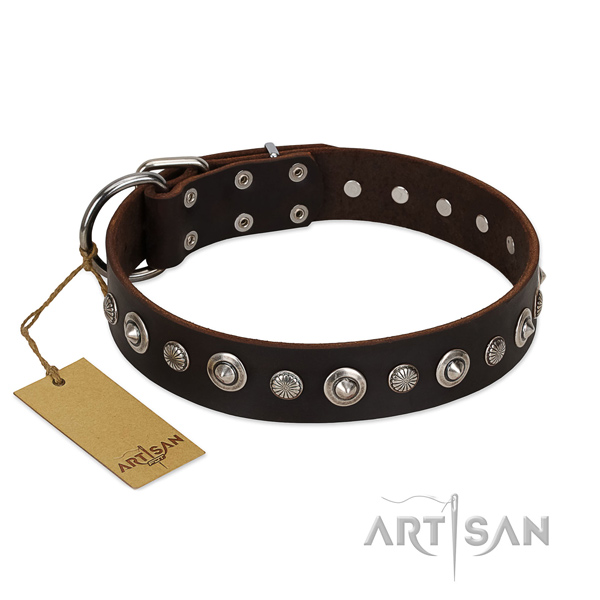 Finest quality full grain natural leather dog collar with top notch decorations