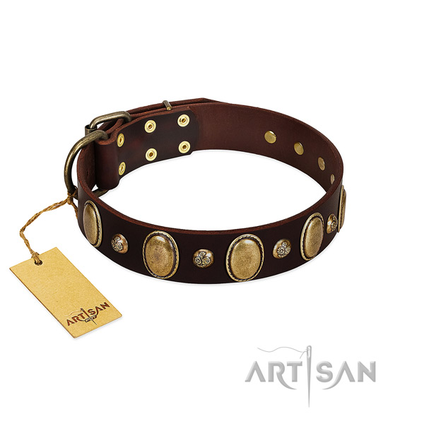 Full grain leather dog collar of flexible material with trendy adornments