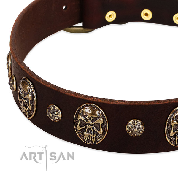 Rust resistant traditional buckle on genuine leather dog collar for your pet