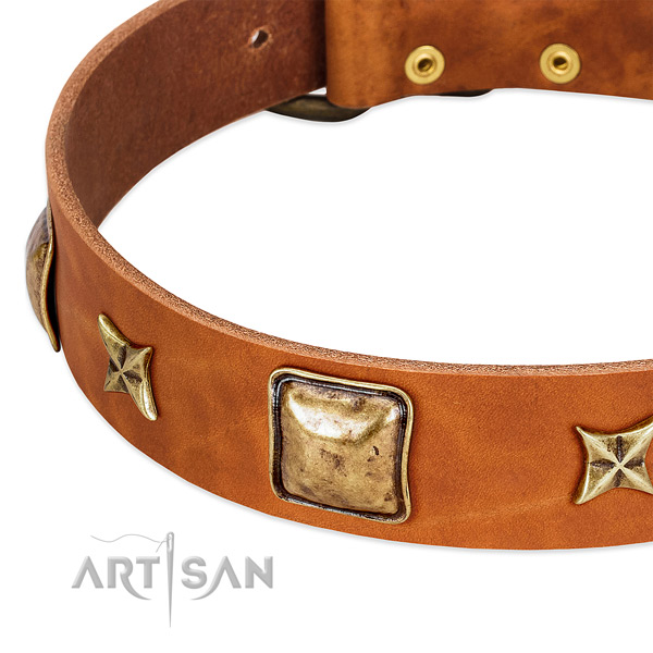 Strong fittings on full grain leather dog collar for your dog