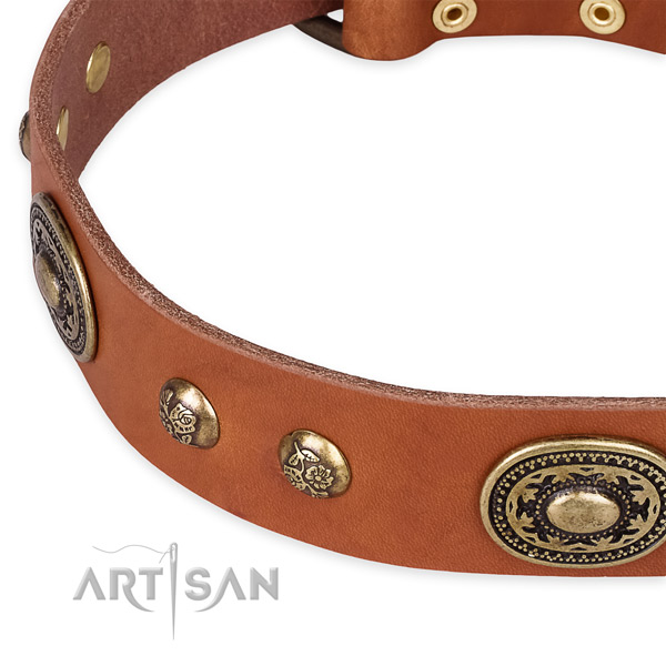 Exquisite genuine leather collar for your beautiful four-legged friend