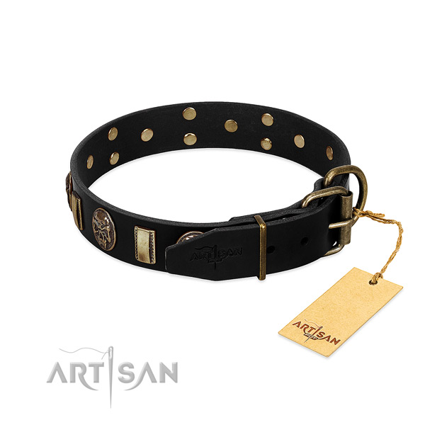 Natural genuine leather dog collar with durable traditional buckle and embellishments