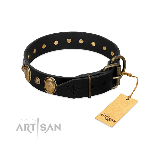Durable fittings on leather collar for fancy walking your pet