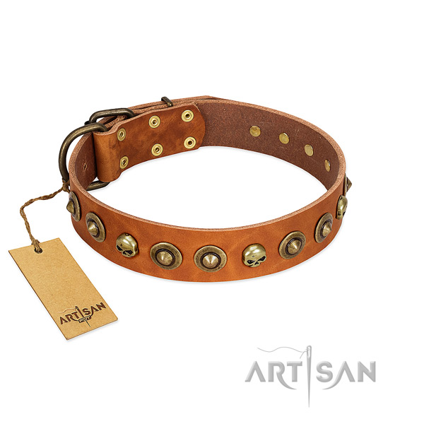 Leather collar with impressive embellishments for your canine
