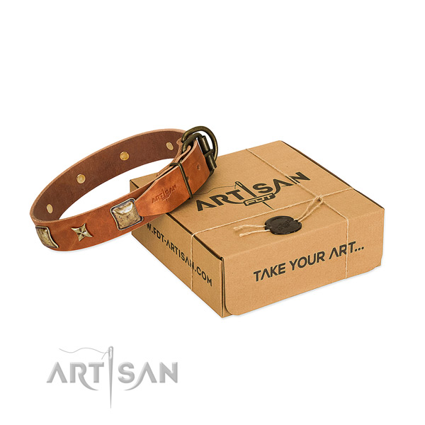 Decorated full grain natural leather collar for your handsome canine