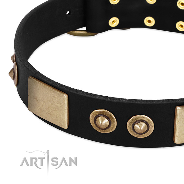 Rust resistant D-ring on leather dog collar for your pet