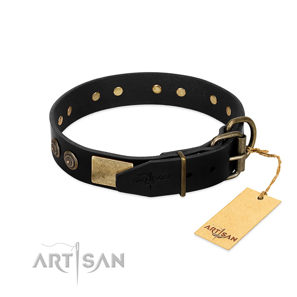 Corrosion proof adornments on full grain genuine leather dog collar for your four-legged friend