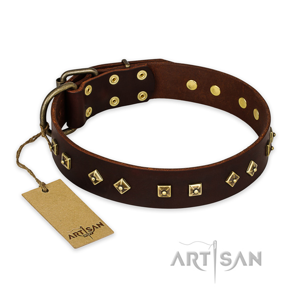 Extraordinary leather dog collar with rust resistant buckle