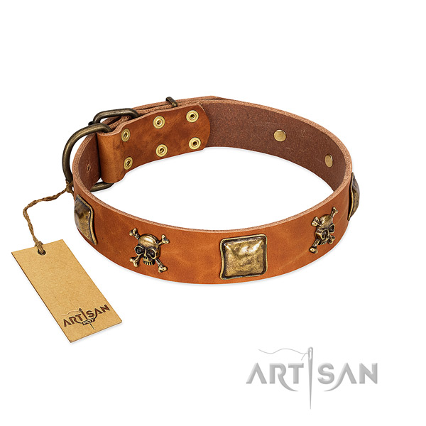 Remarkable natural leather dog collar with corrosion resistant adornments