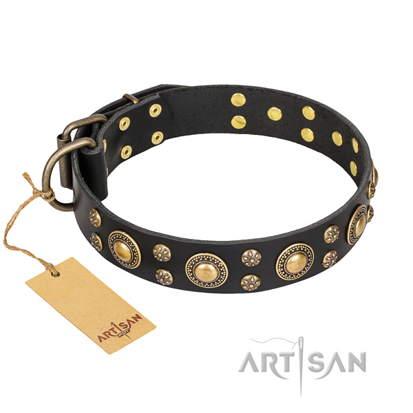 Walking dog collar of finest quality natural leather with embellishments