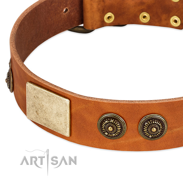 Adjustable dog collar made for your attractive four-legged friend