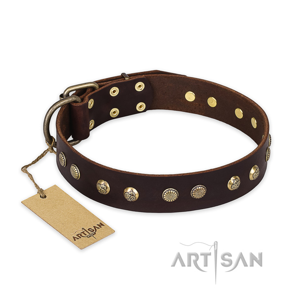 Fashionable full grain leather dog collar with strong hardware