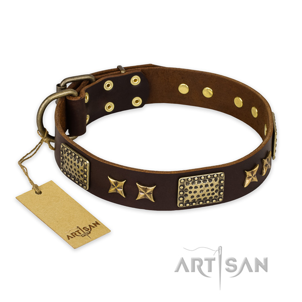 Impressive genuine leather dog collar with rust-proof hardware