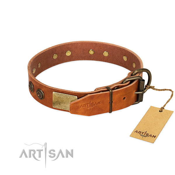 Rust-proof fittings on leather collar for daily walking your doggie
