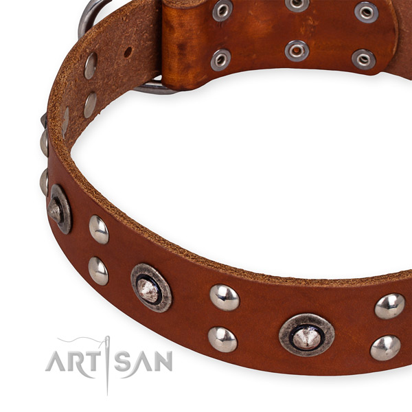 Full grain leather collar with rust resistant D-ring for your attractive doggie