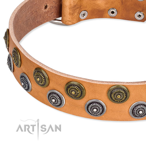 Stylish walking embellished dog collar of fine quality full grain natural leather