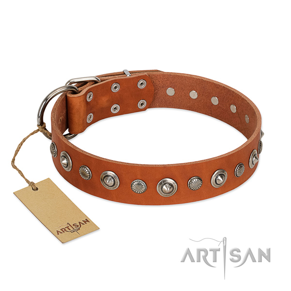 Finest quality full grain leather dog collar with impressive studs