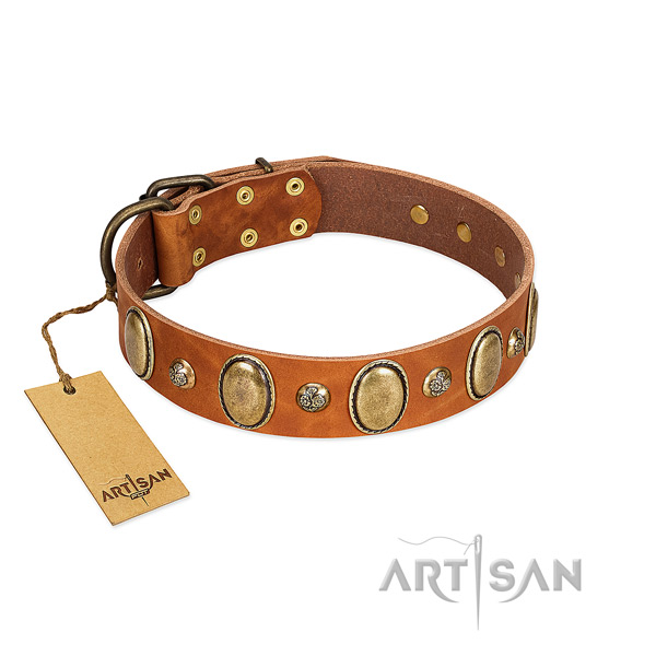 Full grain natural leather dog collar of gentle to touch material with significant studs