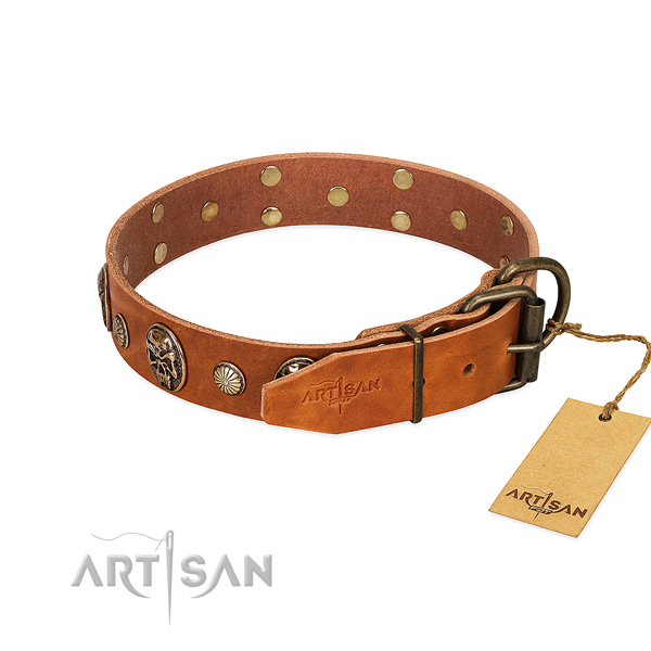 Rust resistant fittings on full grain genuine leather collar for daily walking your four-legged friend