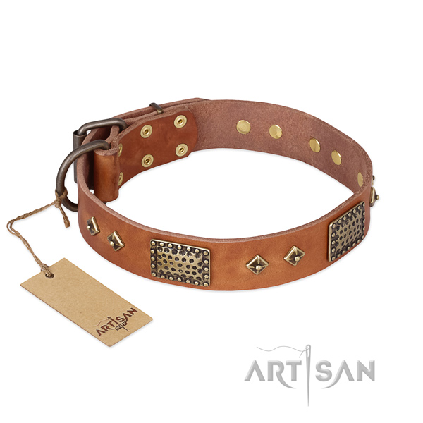 Incredible full grain leather dog collar for everyday walking