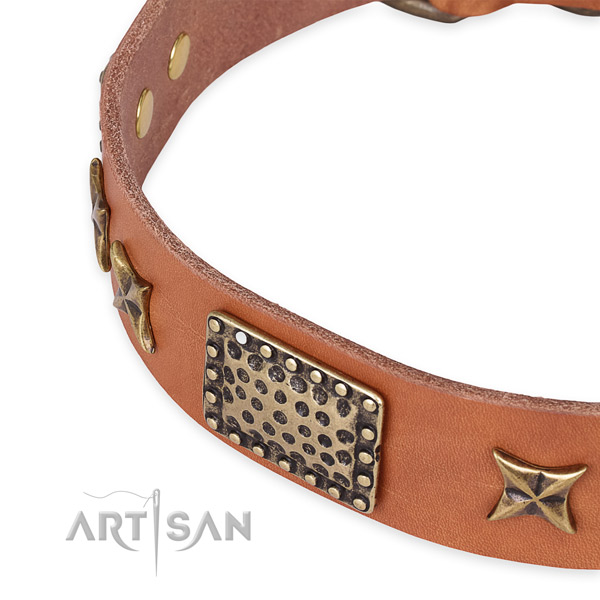 Full grain leather collar with corrosion proof fittings for your beautiful pet