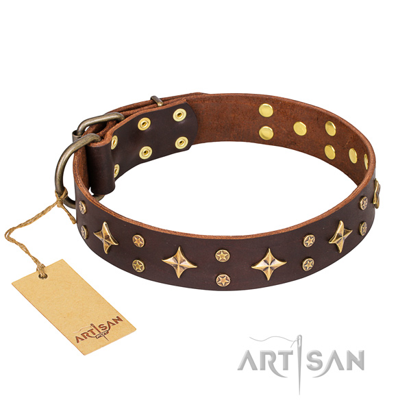 Handy use dog collar of quality full grain natural leather with embellishments