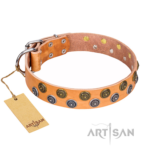 Daily walking dog collar of durable natural leather with decorations