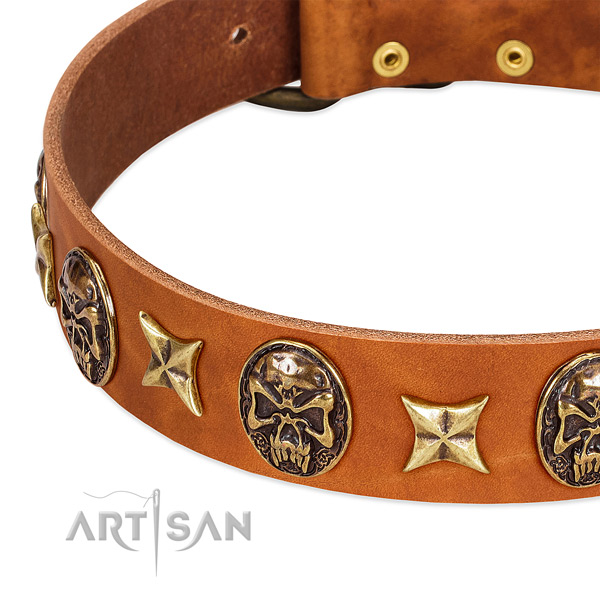 Corrosion resistant adornments on leather dog collar for your doggie