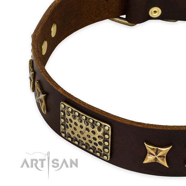 Full grain natural leather collar with corrosion proof hardware for your handsome canine