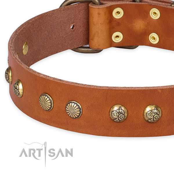 Full grain genuine leather collar with durable buckle for your handsome pet