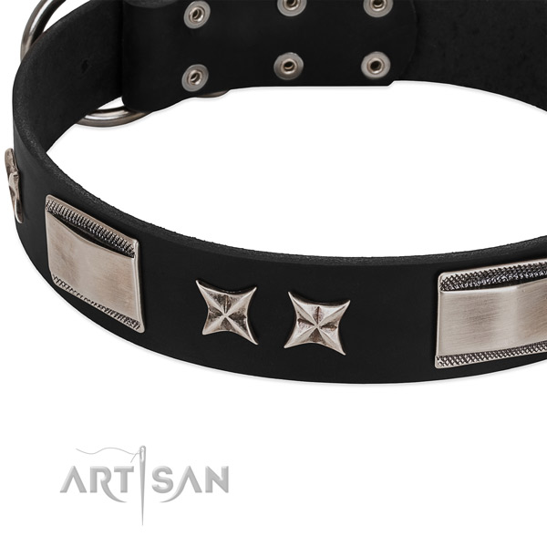 Soft natural leather dog collar with strong fittings