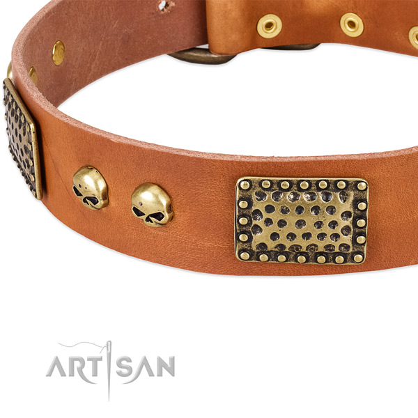 Strong buckle on full grain natural leather dog collar for your doggie