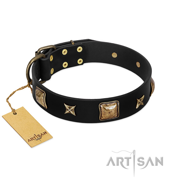 Full grain leather dog collar of quality material with trendy embellishments