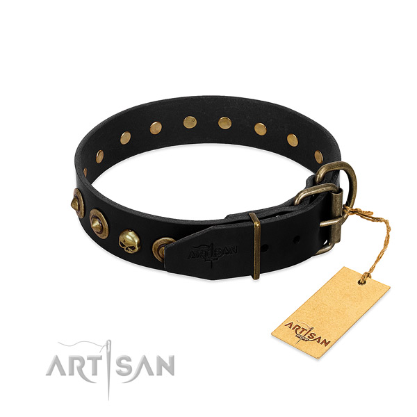 Natural leather collar with fashionable embellishments for your dog