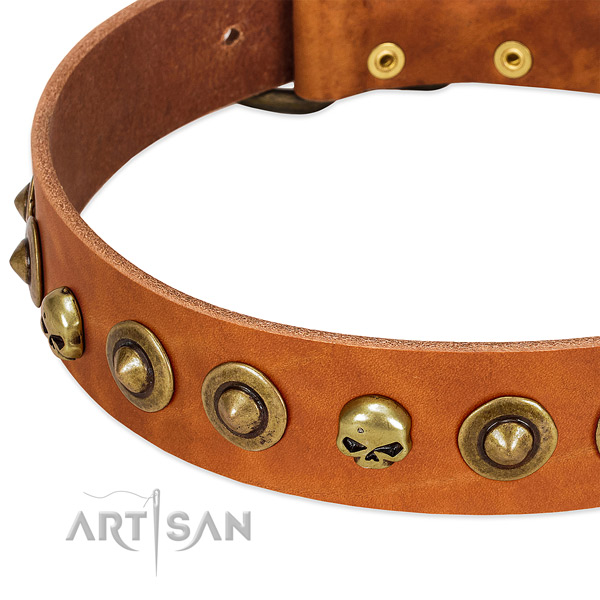 Exceptional decorations on genuine leather collar for your dog