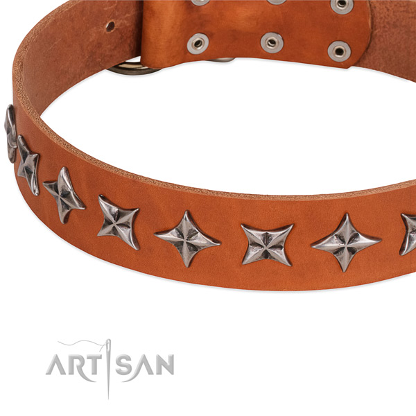 Easy wearing studded dog collar of finest quality leather