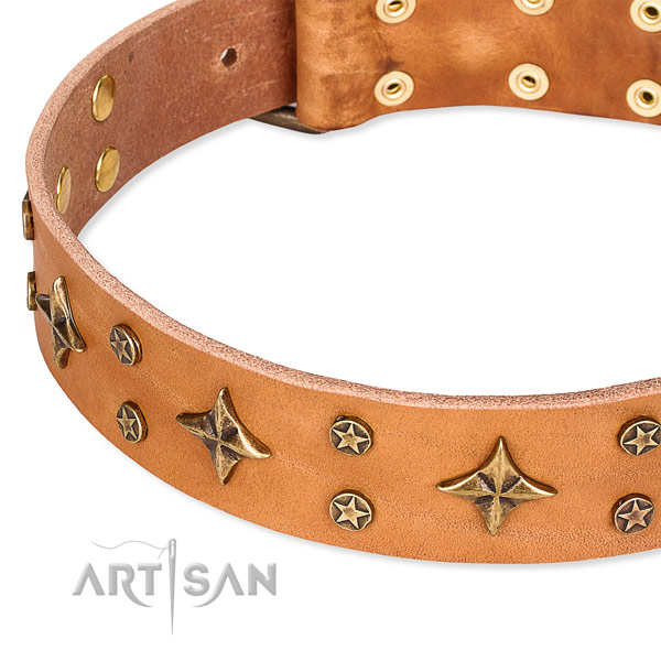 Comfortable wearing adorned dog collar of top notch full grain genuine leather