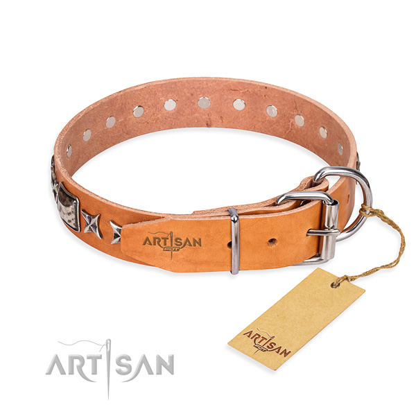 Top quality adorned dog collar of leather