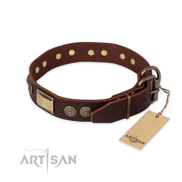 Strong traditional buckle on full grain leather collar for fancy walking your four-legged friend