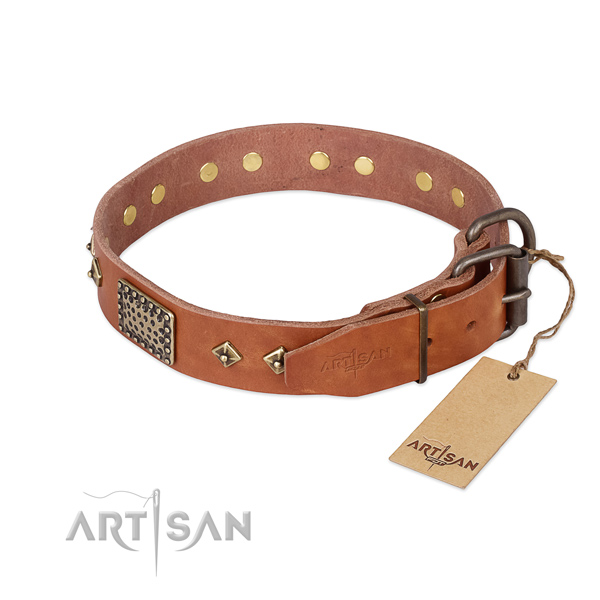 Full grain leather dog collar with rust resistant fittings and decorations