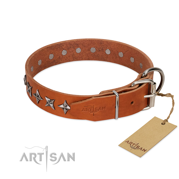 Stylish walking adorned dog collar of durable full grain genuine leather