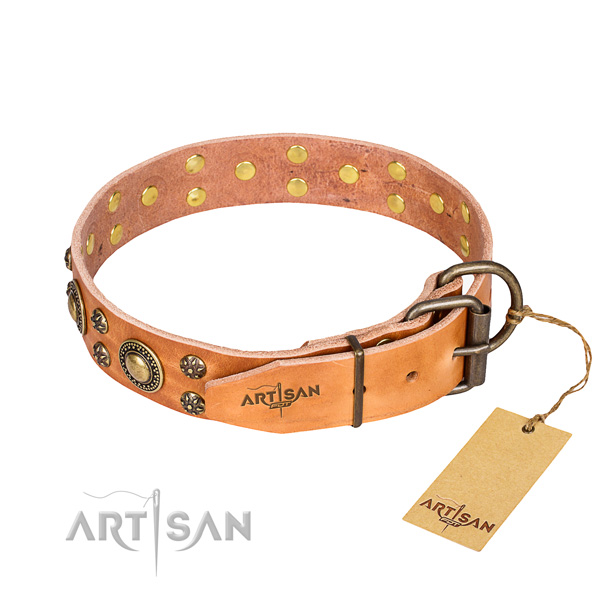 Daily use studded dog collar of reliable full grain genuine leather