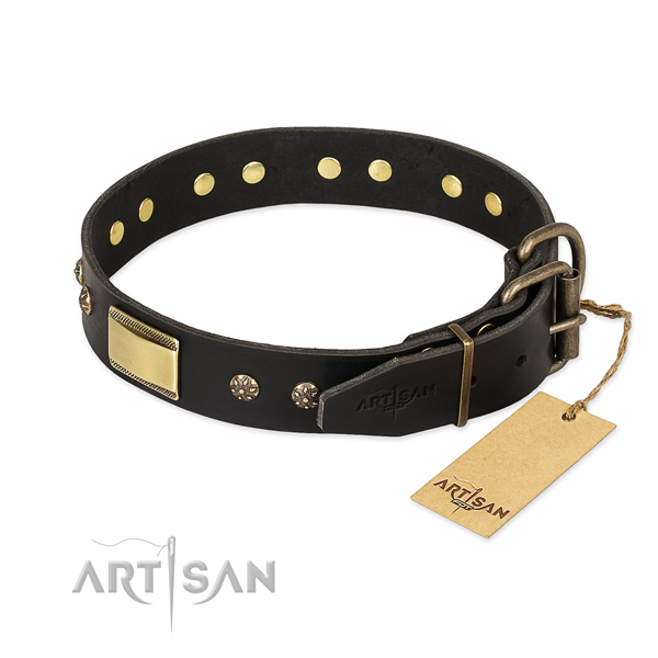 Full grain leather dog collar with strong traditional buckle and adornments