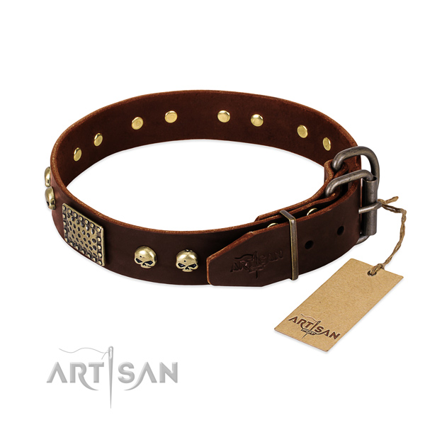 Rust resistant studs on everyday use dog collar