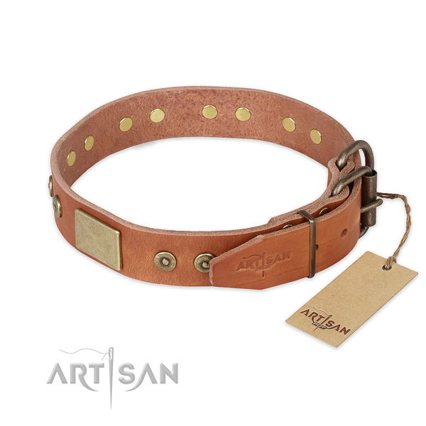 Rust-proof D-ring on genuine leather collar for basic training your doggie