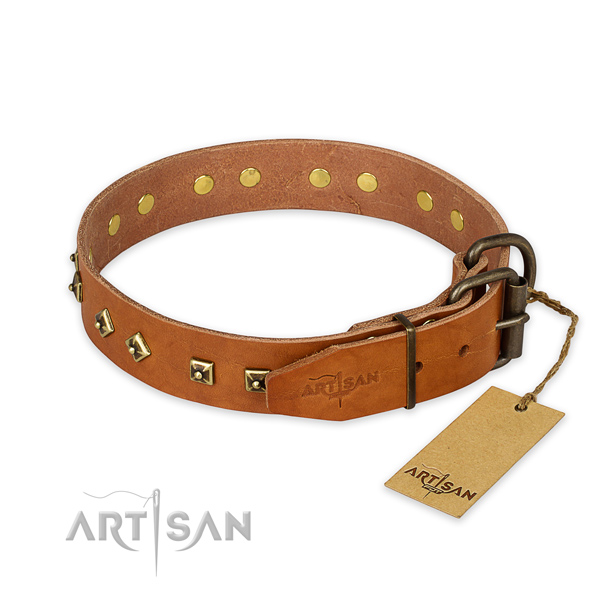 Strong buckle on natural leather collar for fancy walking your pet