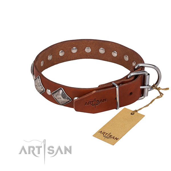 Comfy wearing decorated dog collar of top notch full grain genuine leather