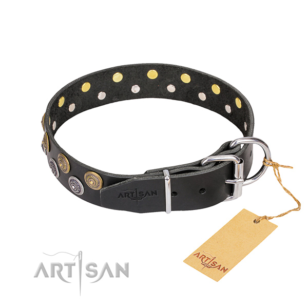 Everyday use studded dog collar of high quality leather