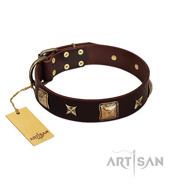 Studded full grain genuine leather collar for your pet