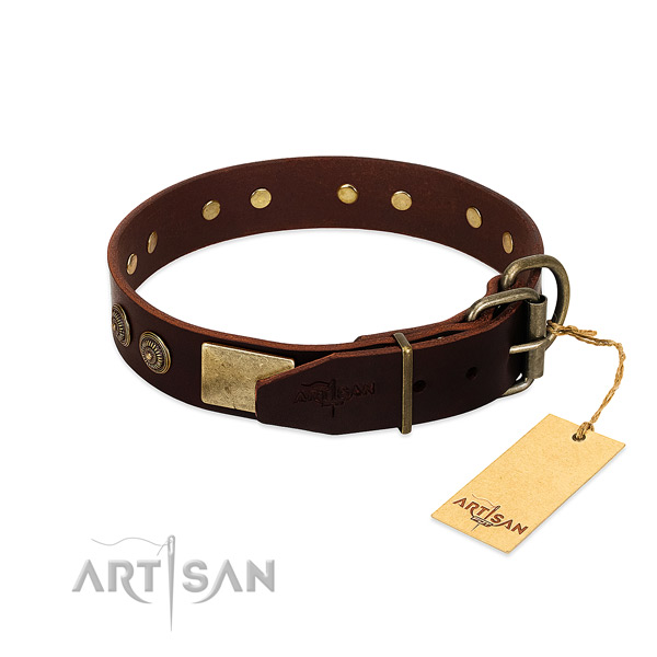 Reliable adornments on full grain genuine leather dog collar for your pet